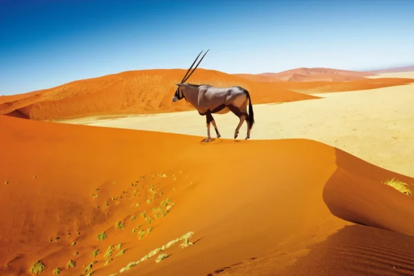 Narodni parki Namibije, Fly & Drive